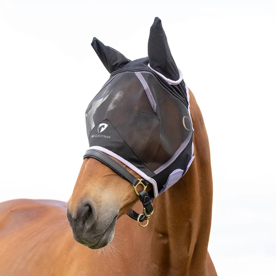 image 1 of Hy Equestrian Mesh Horse Half Fly Mask With Ears | Black | Black/Lilac | Pony | 1