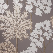 Acacia Tree Wallpaper in Charcoal and Copper | Grey | Charcoal and Copper