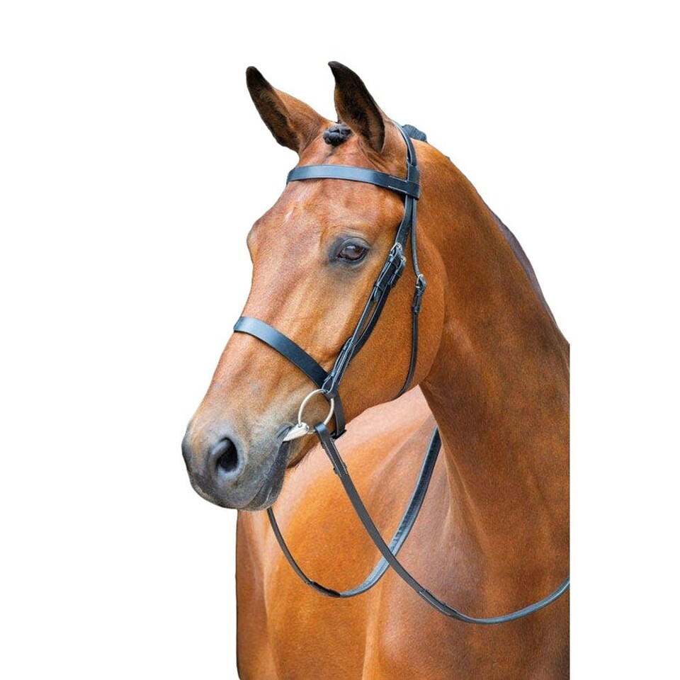 Salisbury Berrington Leather Horse Bridle - Black - Cob