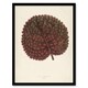 image 1 of Vintage Botanical Gesnera Exoniensis Leaf Fawcett Framed Wall Art Print 12X16"