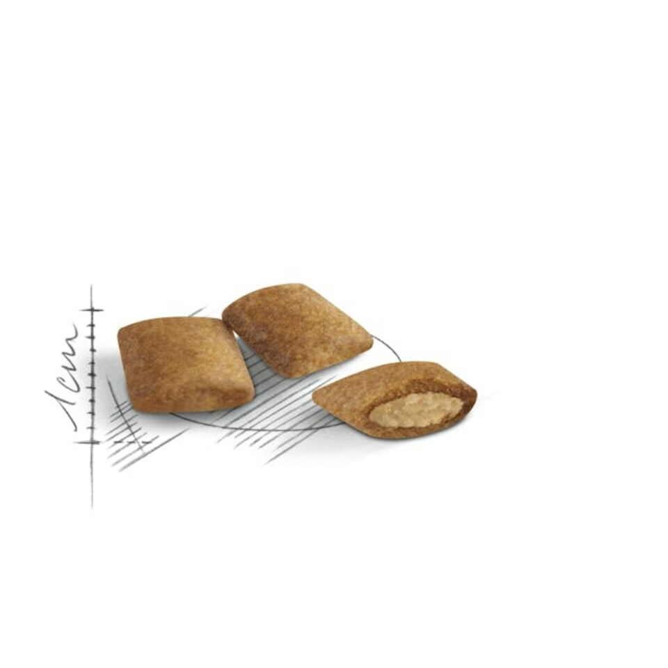 image 1 of Royal Canin Cat Food Ageing 12+ - 2 KG