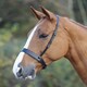 image 2 of Shires Blenheim Hunter Cavesson Noseband Black | Size: X-Full
Colour: Black