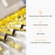 image 5 of Evening Primrose Oil 1000mg, 120 Softgels, 4-Month Supply, Cold Pressed, High in Omega 6 GLA, Supports Womenâ€™s Health