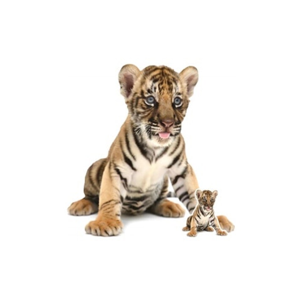 Tiger Cub Sitting Star Mini Cardboard Cutout 73cm