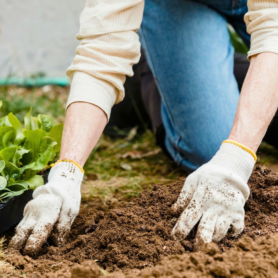 image 1 of Bedding & Annual Plant Compost with 9 Month Feed - 65L - Water Less Formula - Ideal for Seasonal Flowers & Displays