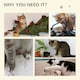 image 5 of PawHut 154cm Cat Tree Tower Multi-level Indoor Scratching Post Light Grey