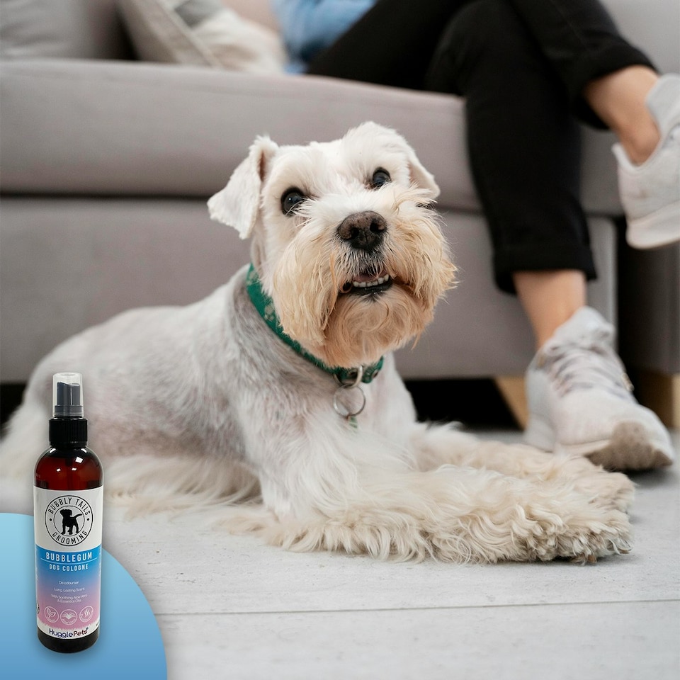 image 1 of HugglePets Bubbly Tails Dog Cologne - Bubblegum