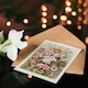 image 4 of Ernst Haeckel Art Card Orchid Flower Colourful Varieties