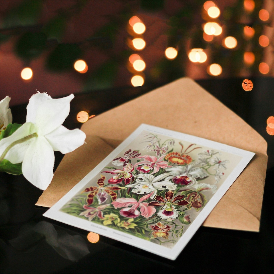 image 1 of Ernst Haeckel Art Card Orchid Flower Colourful Varieties