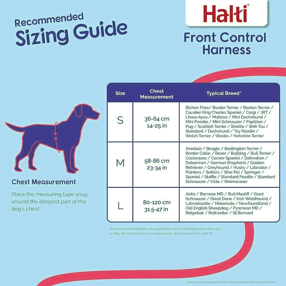 image 1 of HALTI Front Control Harness - Size Medium