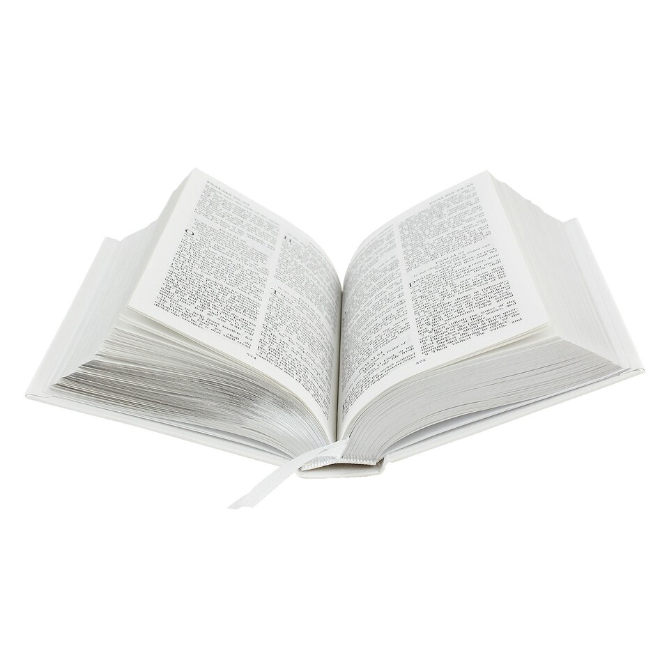 image 1 of Personalised Gold Companion Holy Bible