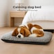 image 4 of Skylos Small Dog Calming Bed Grey Plush Cushion Waterproof Washable Cover | Grey | Small | S