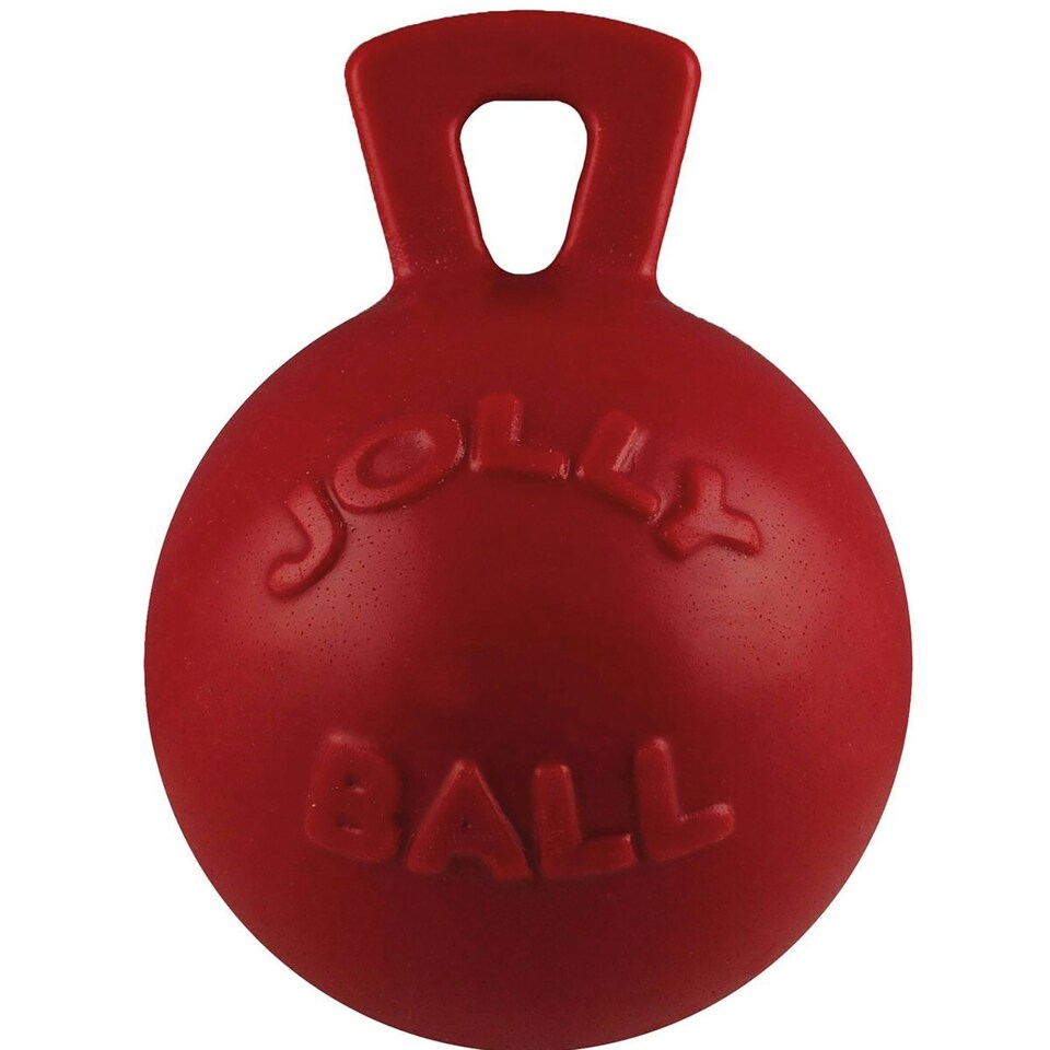image 1 of Jolly Pets Tug-N-Toss Dog Toy - Red - 4.5