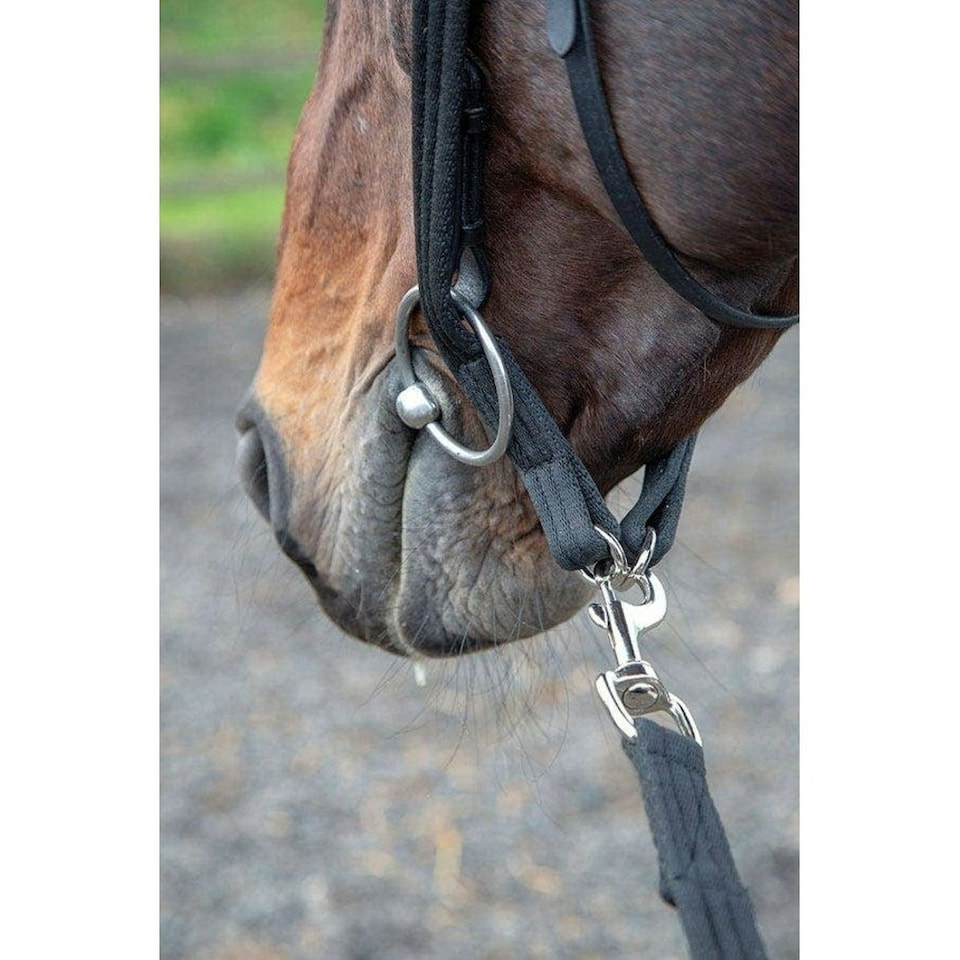 image 1 of Shires Leather Horse Lunging Adapter - Black - One Size