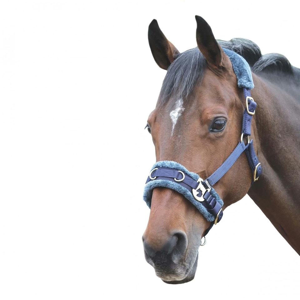 image 1 of Shires Fleece Lined Plush Horse Lunge Cavesson - Navy - Cob