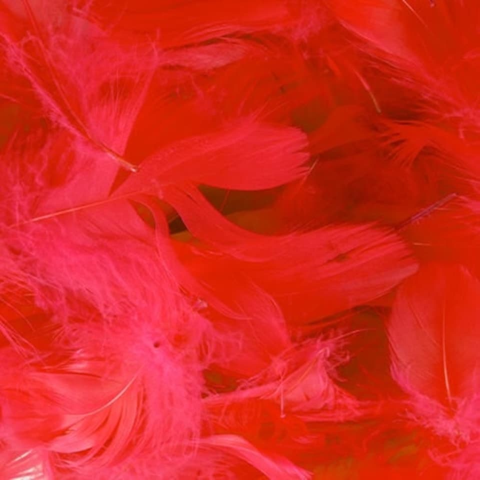 Red Eleganza Feathers 50g