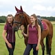 image 2 of Hy Synergy Horse Fly Veil - Fig/Silver - Cob
