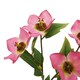 image 2 of The Natural Garden Collection Varigated Hellibore - Artificial Flower (Single Stem) - Plastic - H47 cm - Pink