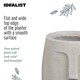 image 6 of Textured Concrete Effect Beige Oval Face Planter Indoor L19 D18 H18.5 cm, 3.3 ltrs Cap.