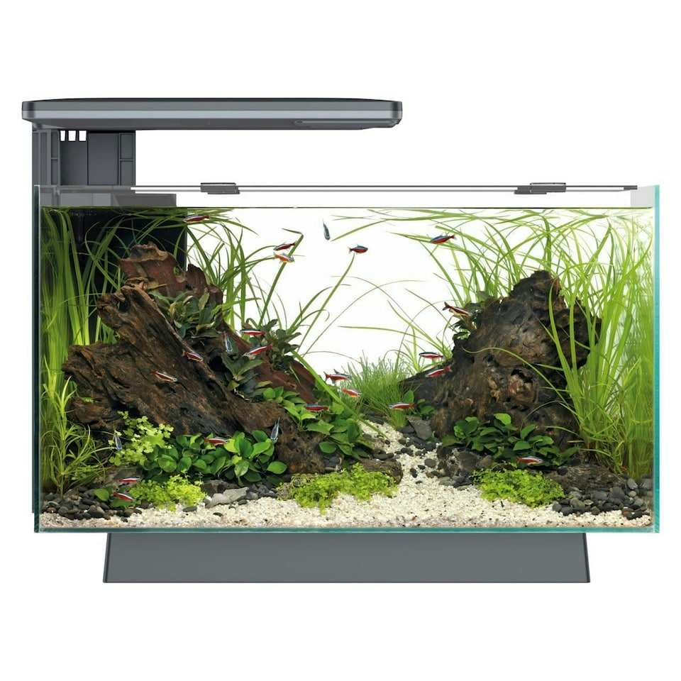 image 1 of Superfish Quadro 40 Multi-Colour LED Aquarium White