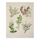 image 3 of Sarah Featon Framed Wall Art New Zealand Gaultheria Flowering Plant Home Décor