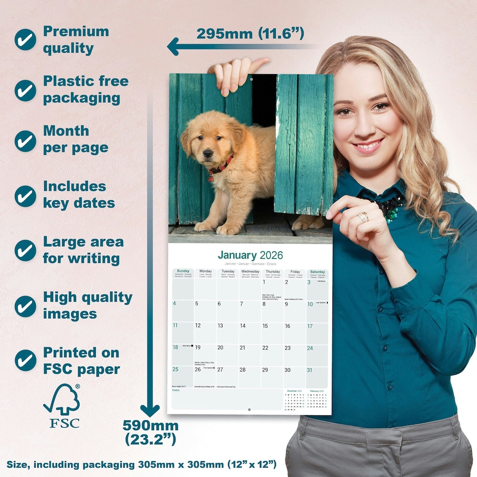 image 1 of Golden Retriever 2026 Calendar | Square Wall Calendar | Dog Breed Gift | Plastic Free Packaging | by Avonside Publishing