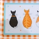 image 4 of Ulster Weavers Cats In Waiting Tray - Scatter Orange