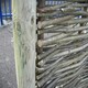 image 4 of Wooden Round Fence Post 2.43m (8ft) for Fencing, Screening and Hurdles