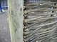 image 4 of Wooden Round Fence Post 2.43m (8ft) for Fencing, Screening and Hurdles