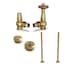 Polished Brass