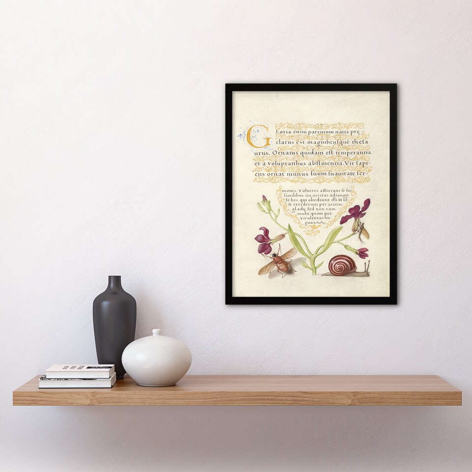image 1 of Model Book of Calligraphy Framed Wall Art Gillyflower Fly Mayfly and Snail