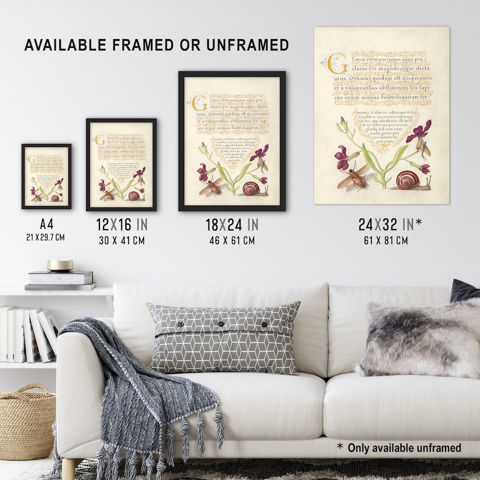 image 1 of Gillyflower Fly Mayfly and Snail Calligraphy Huge Wall Art Poster Print 24X32"