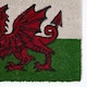 image 2 of Homescapes Coir Doormat Welsh Dragon Flag - 40 x 60 cm