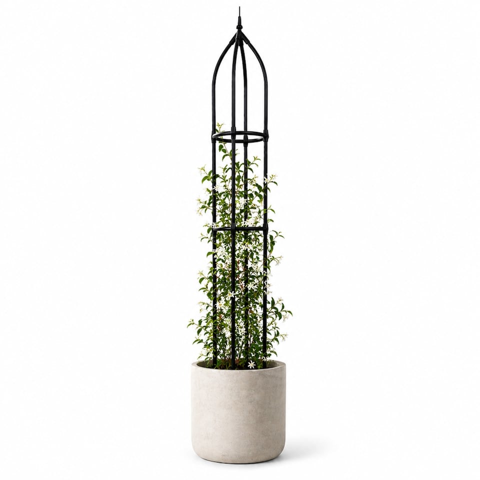 image 1 of Garden Obelisk for Climbing Plants 220cm 7ft - Metal Plant Cage Support Trellis Rose Tower for Flowers, Patio Pots, Shrub, Borders
