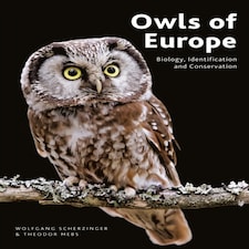 Owls Of Europe