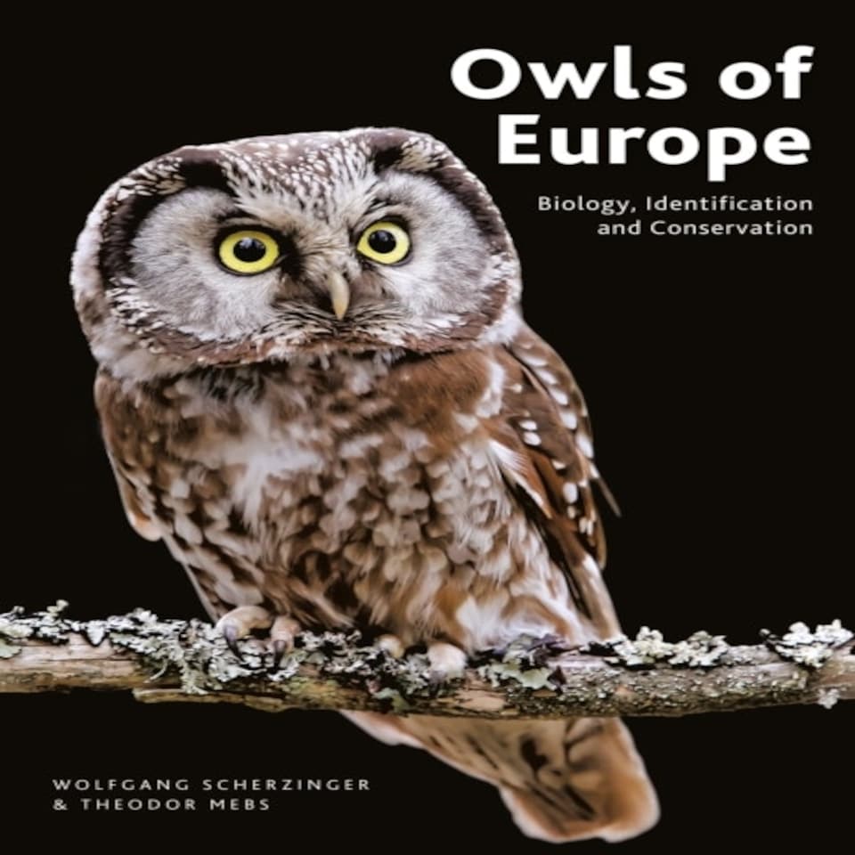 Owls Of Europe