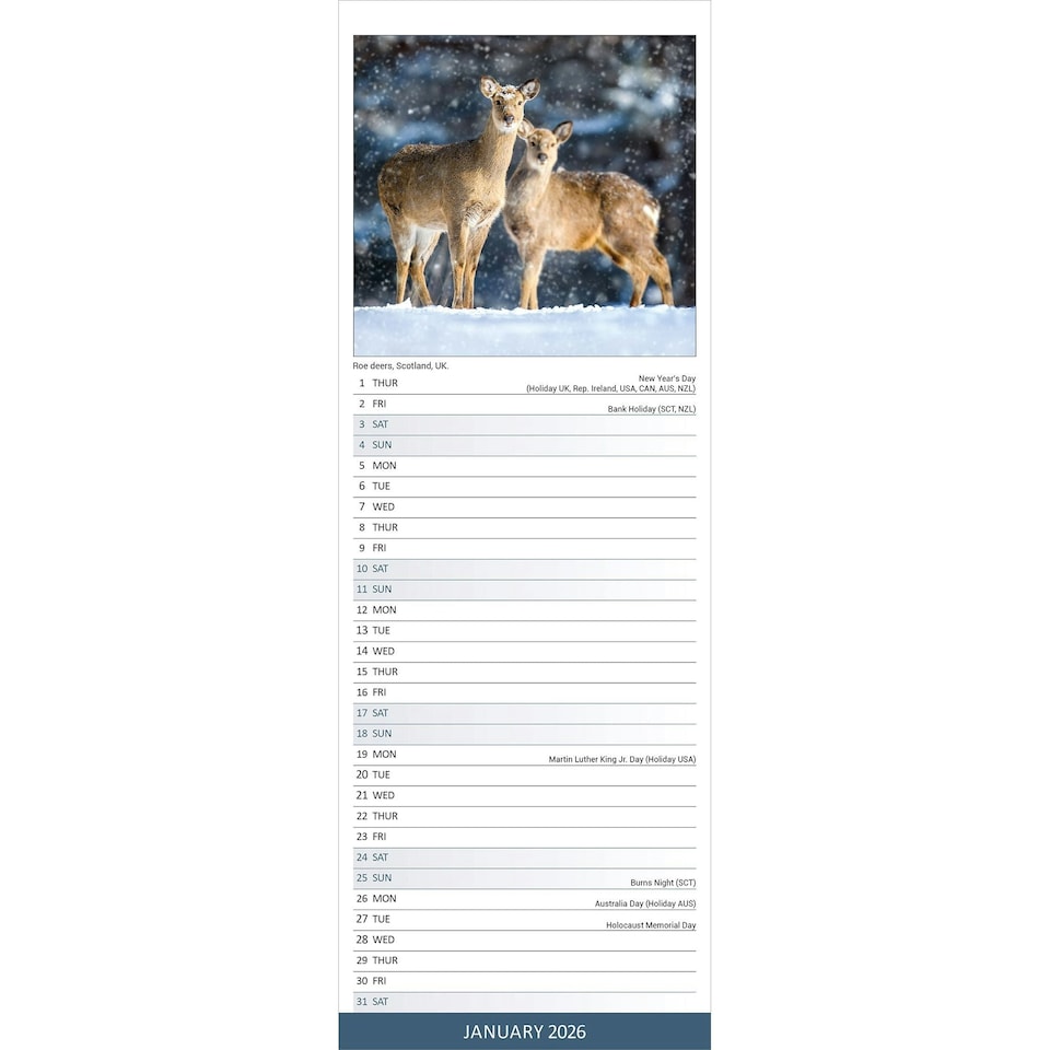 image 1 of Seasons Slim 2026 Calendar | Slimline Wall Calendar | Travel & Nature Gift | Plastic Free Packaging | by Avonside Publishing [Calendar] Avonside Publishing Ltd