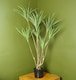 image 1 of 125cm Dragon Plant Dracaena Tree Artificial Natural Look | Green | 4ft