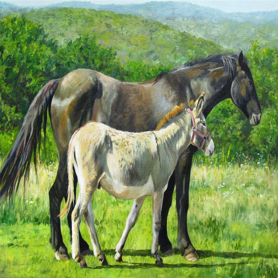 image 1 of Stable Companions 1000 Piece Jigsaw Puzzle