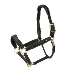 Velociti Lusso Lorca Leather Headcollar Black | Size: Pony
Colour: Black