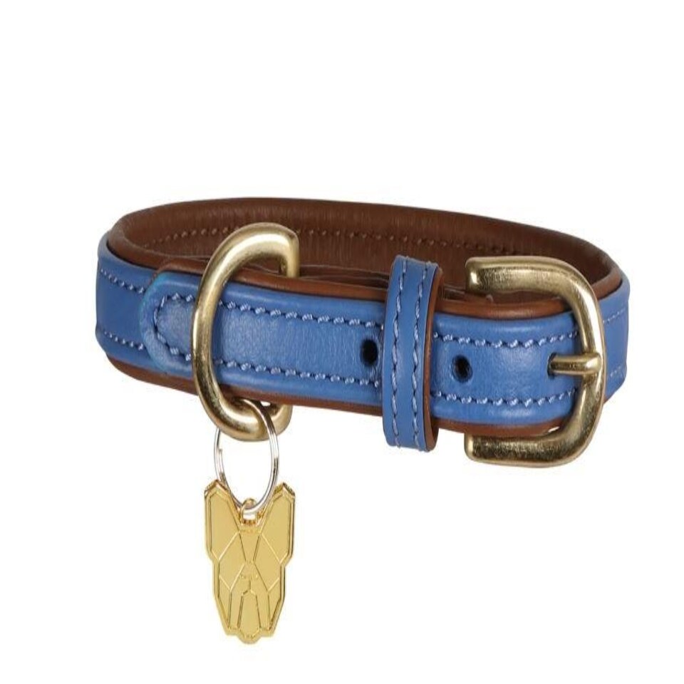 image 1 of Shires Digby & Fox Padded Leather Dog Collar Blue | Size: XX-Small
Colour: Navy