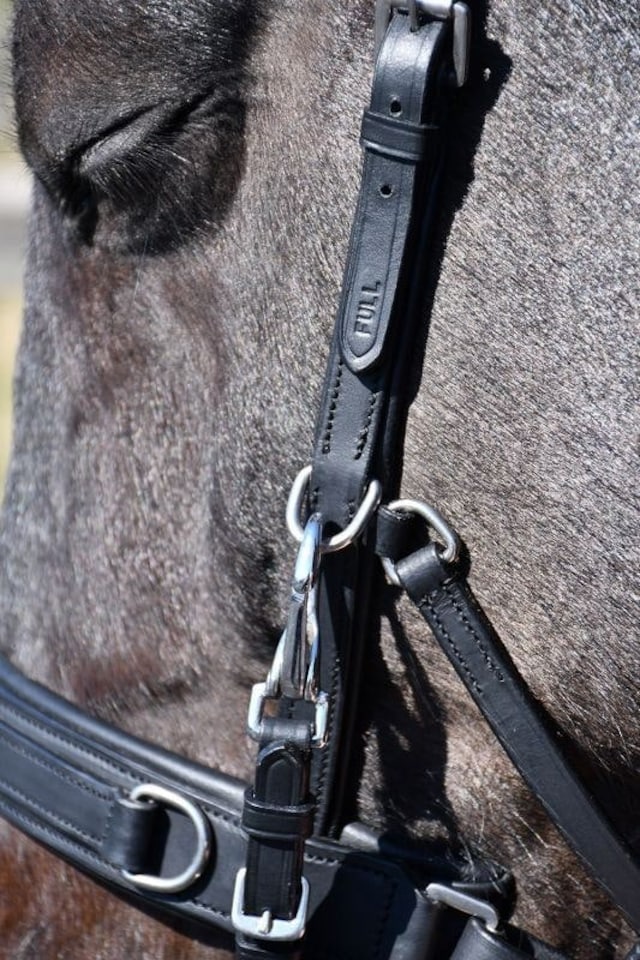 image 1 of Rhinegold Leather Lunge Cavesson | Black | Size: Pony
Colour: Black