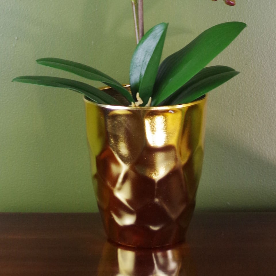 image 1 of Artificial Orchid Plant Dark Pink Gold Pot 54cm Botanik
