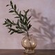 image 2 of Hestia Glass Fish Vase - Round Shape