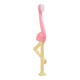 image 2 of Dr Brown's Toddler Toothbrush Flamingo Design 1-4 Years