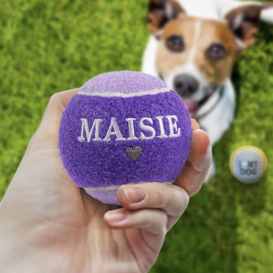 image 1 of Pre-Personalised Dog Ball Gift Pack 2pcs Purple Maisie