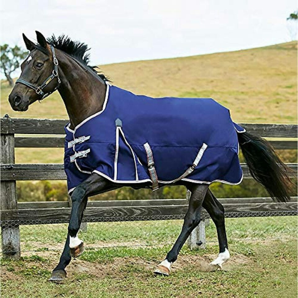 image 1 of Weatherbeeta Comfitec Lite Plus Essential Standard Neck Turnout Rug - Navy/Silver/Red - 5 ft