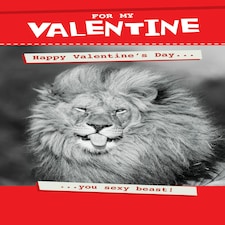 You Sexy Beast! - Funny Valentine's Day Card