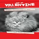image 1 of You Sexy Beast! - Funny Valentine's Day Card