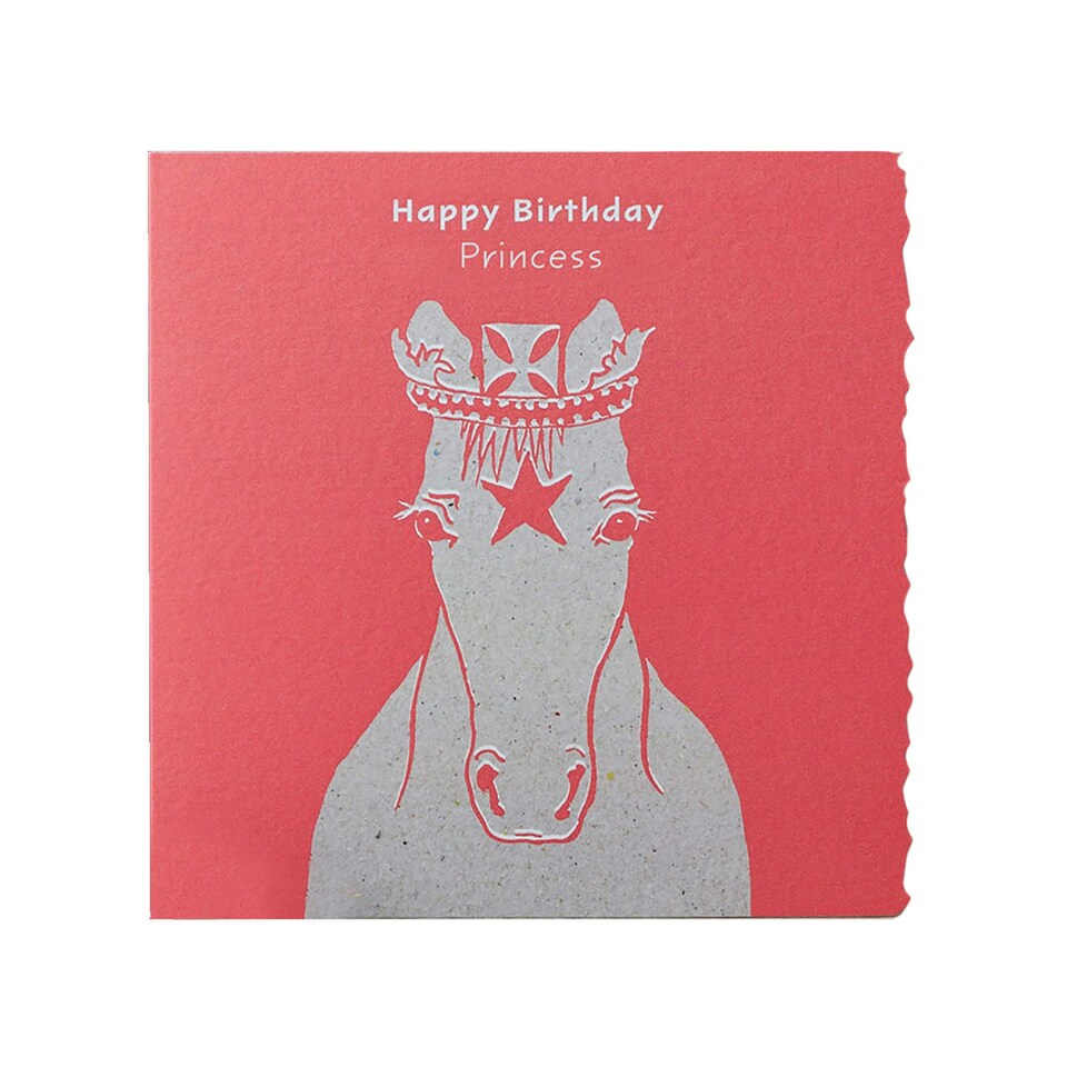 Deckled Edge Colour Block Pony Greetings Card - Happy Birthday Princess - Princess Pony (Red) - One Size